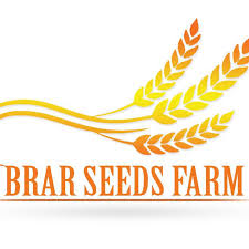 Brar seed